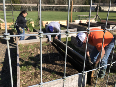 Community Garden