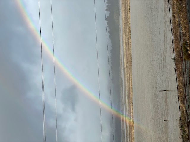 Rainbow